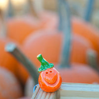 2017 pumpkins 1080